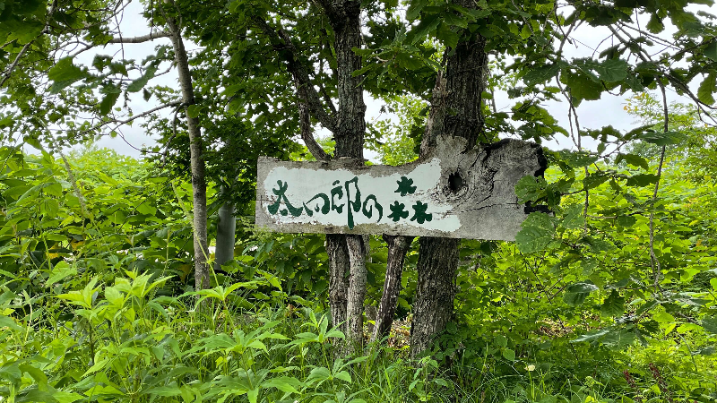 広尾キャンパス太四郎の森